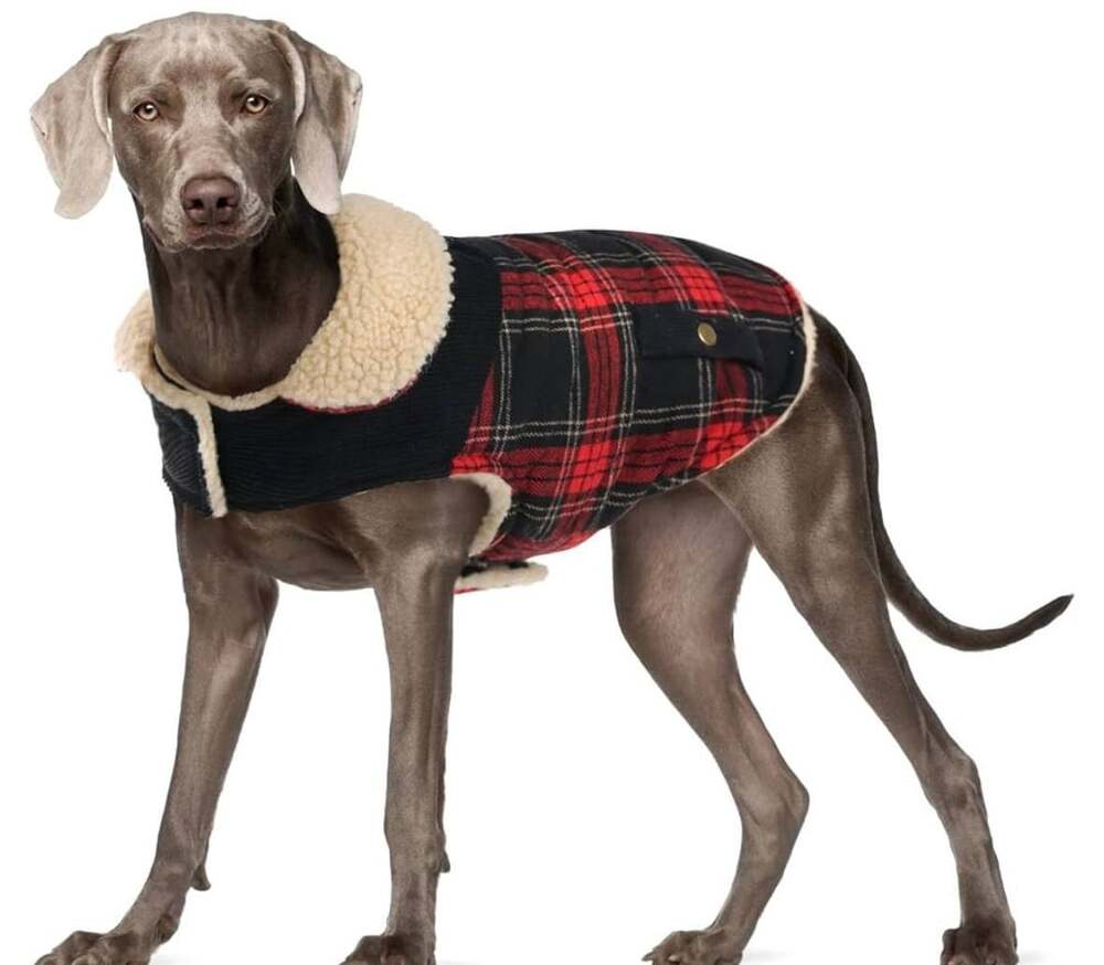 Preferhouse Winter Coat for Dogs Red Plaid Jacket XL